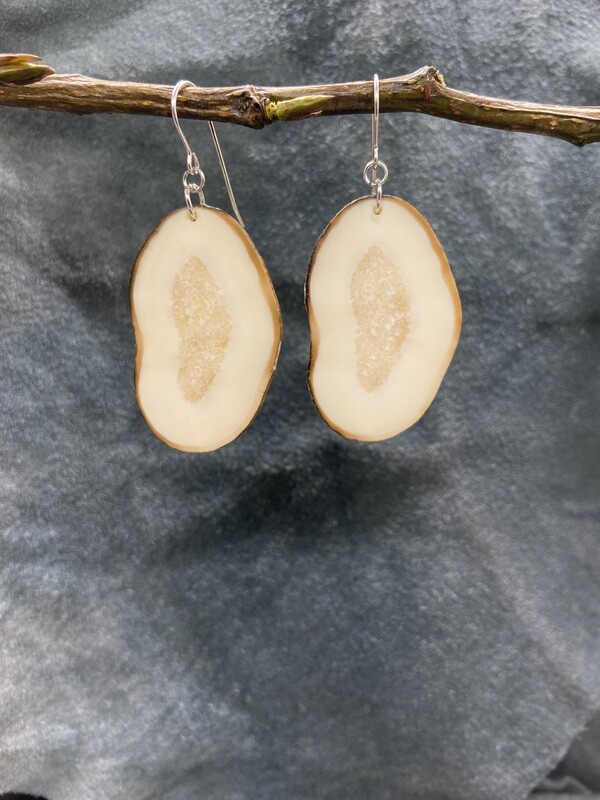 Crosscut Fossilized Walrus Ivory Earrings