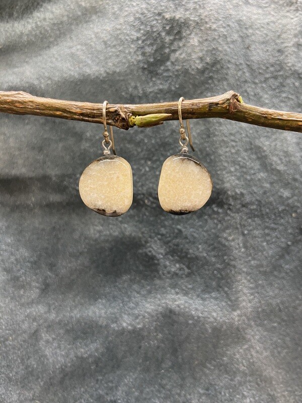 Crosscut Fossilized Walrus Ivory Earrings