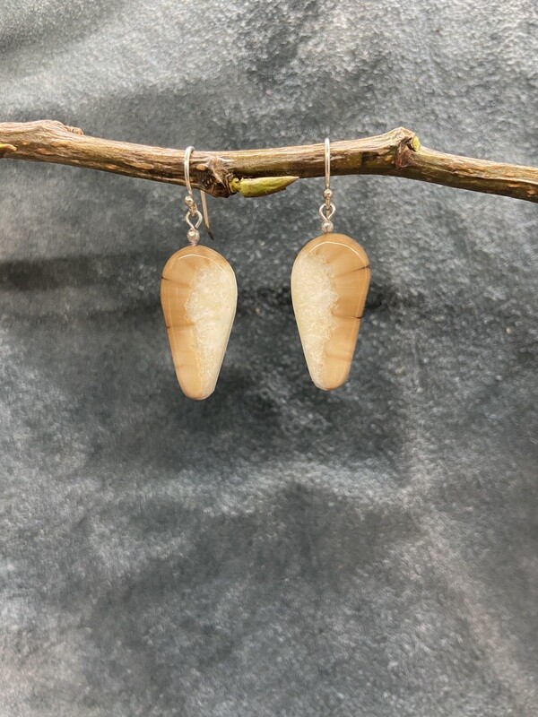 Crosscut Fossilized Walrus Ivory