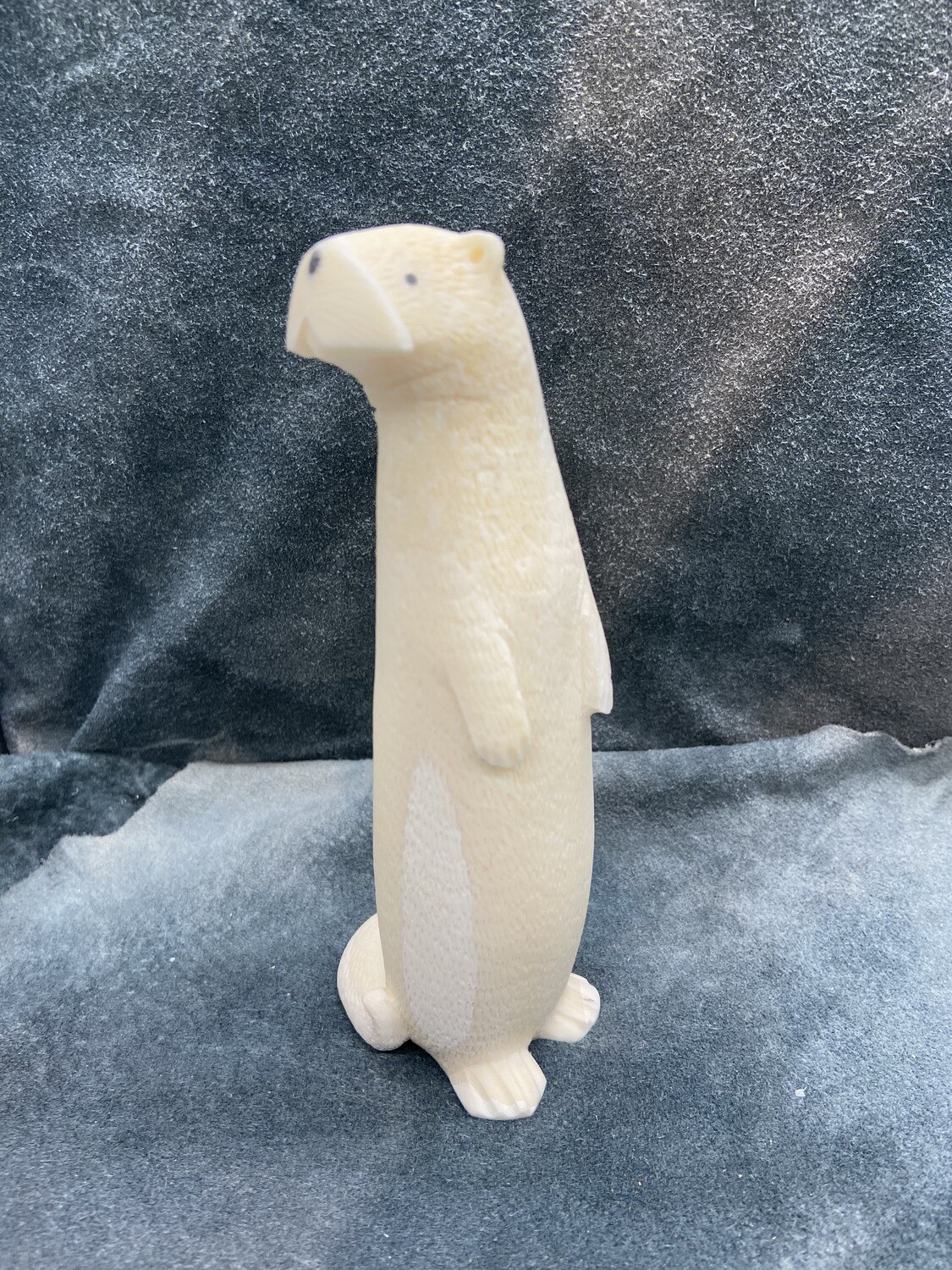River Otter