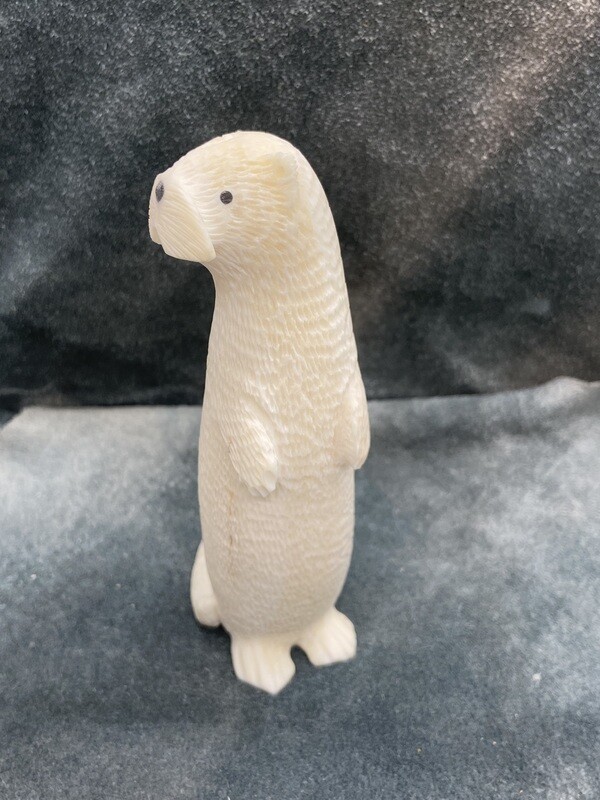River Otter