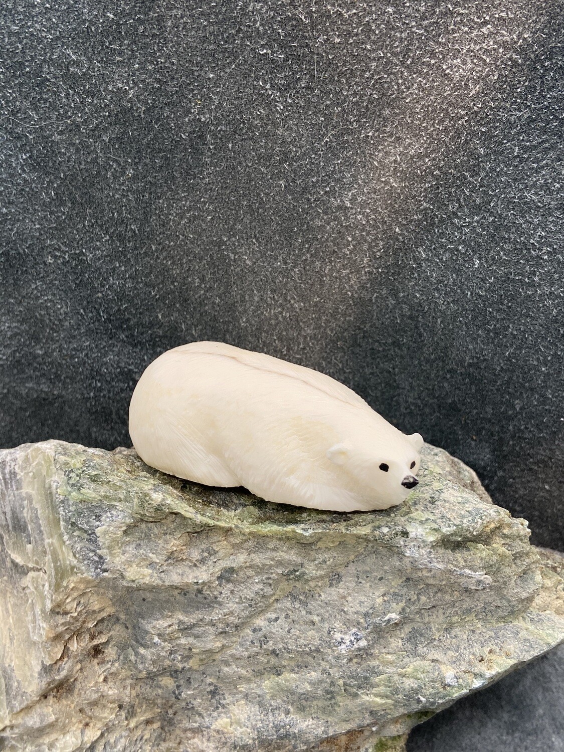 Resting Polar Bear