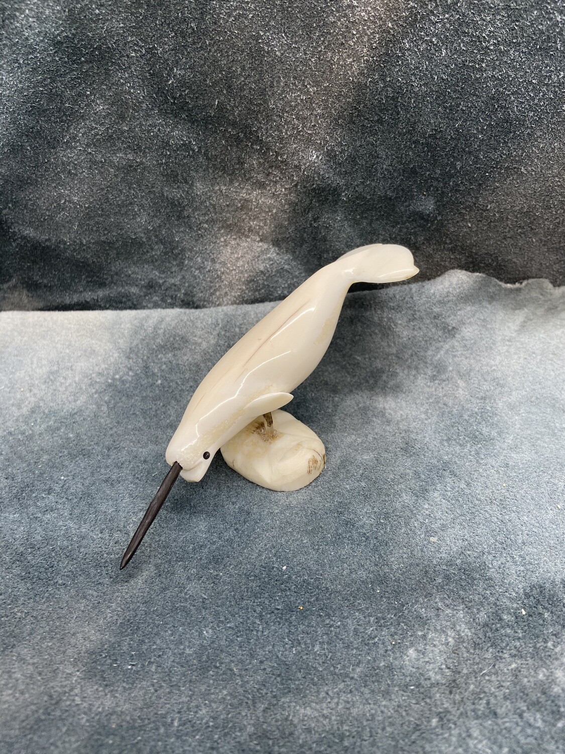 Narwhal