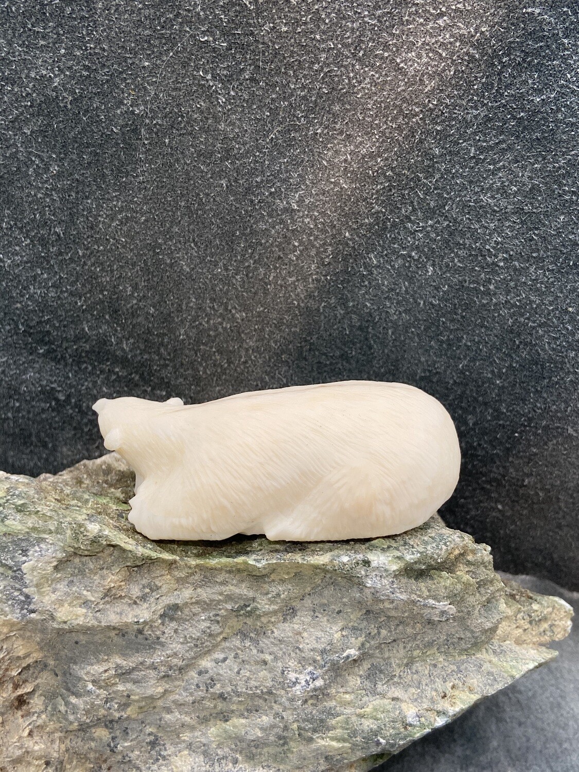 Resting Polar Bear