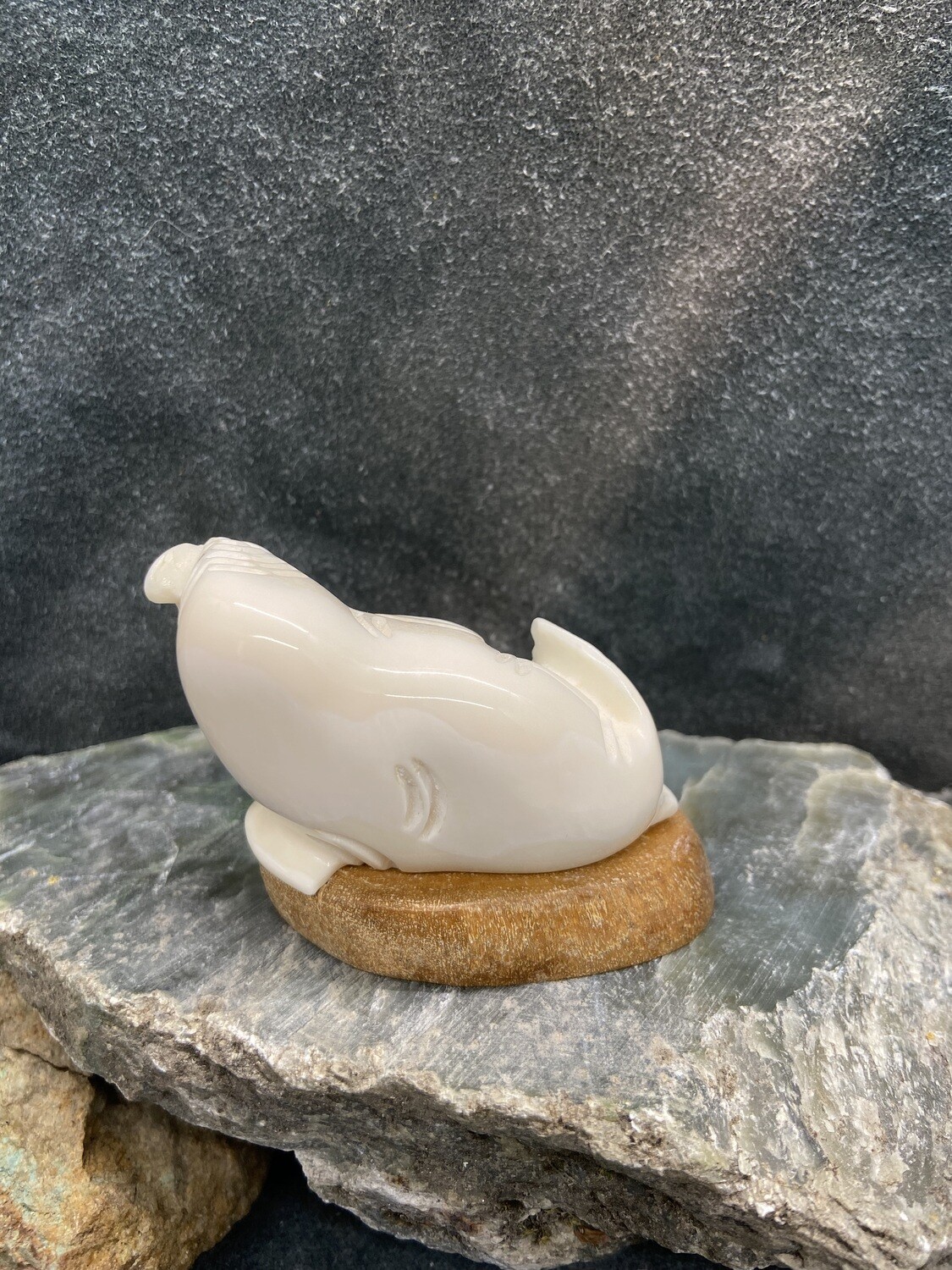Playful Walrus