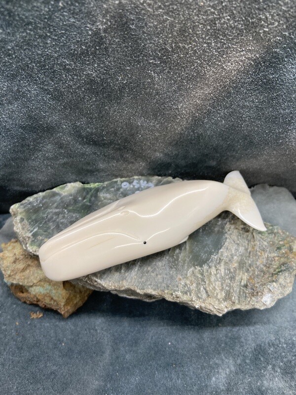 Bowhead Whale