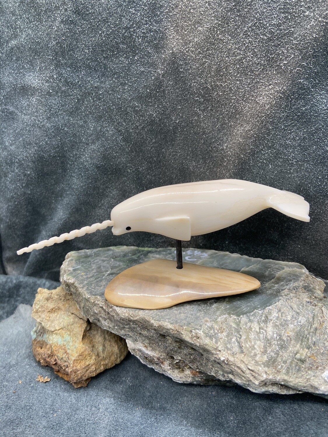 Narwhal