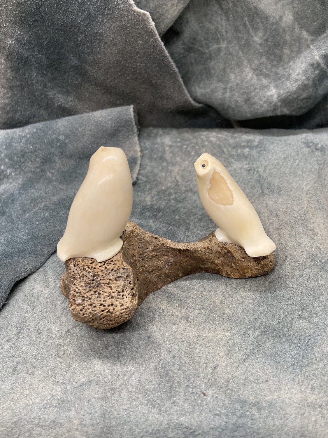 Owl Pair