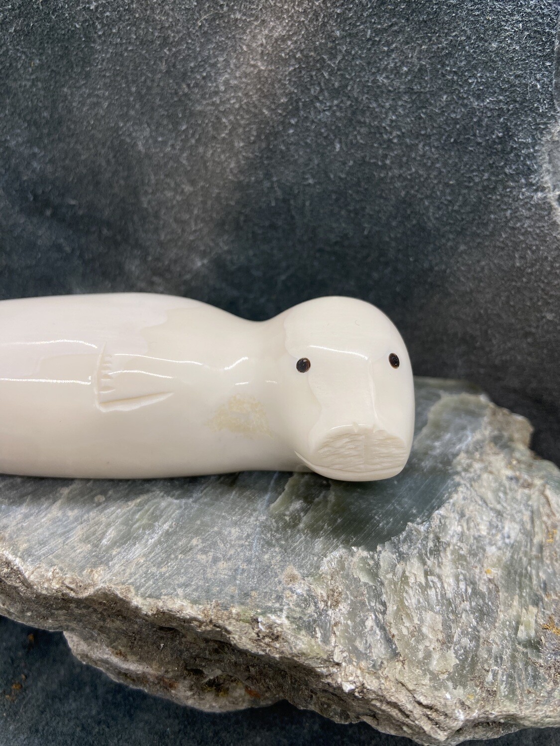 Seal