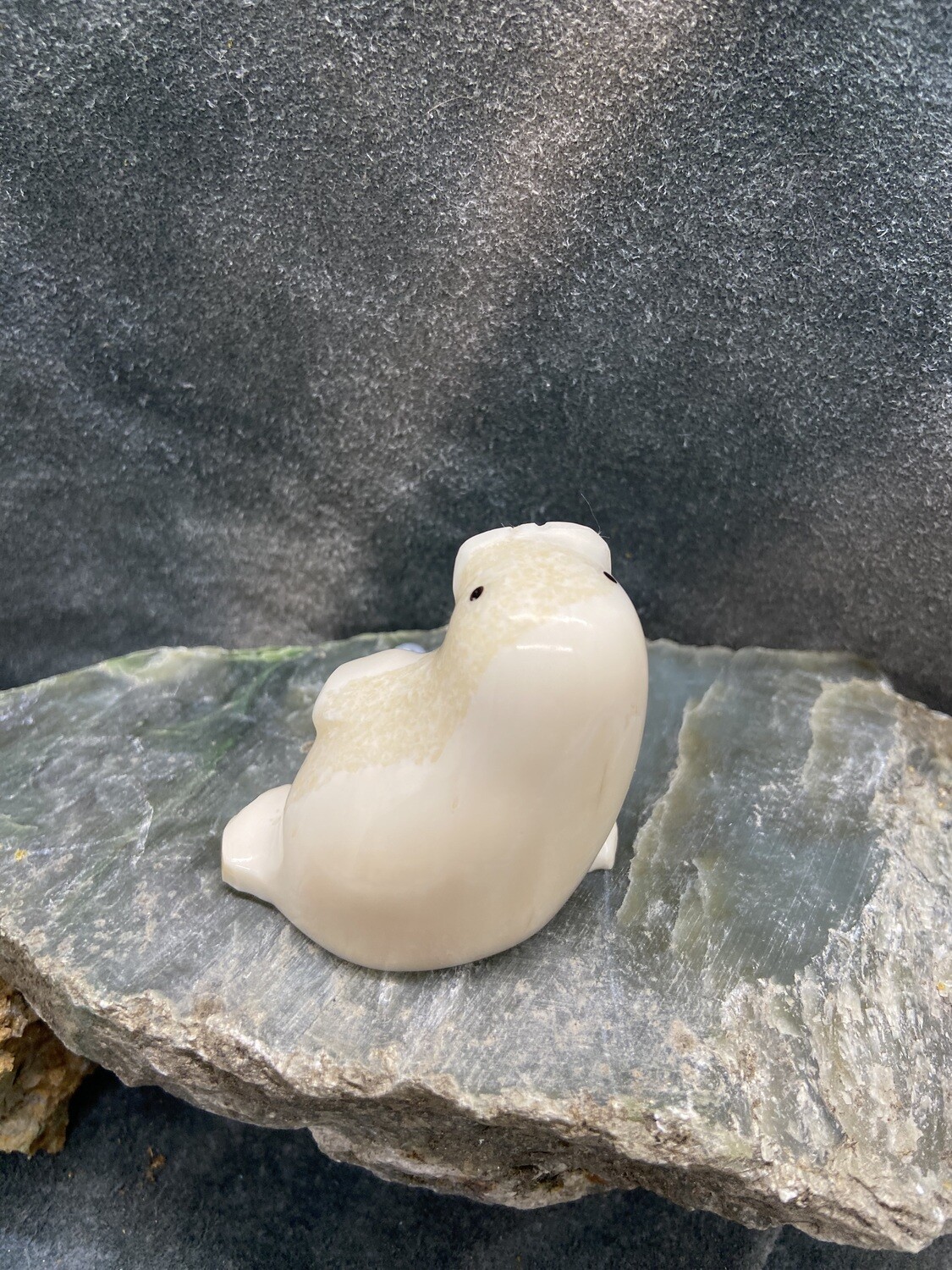 Walrus