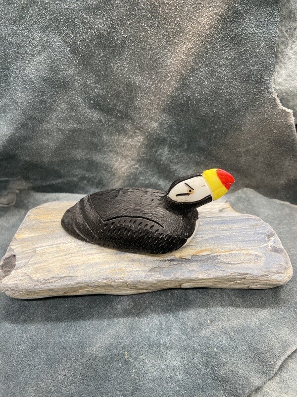 Floating Puffin
