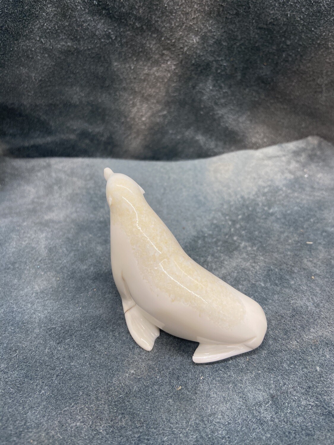 Seal