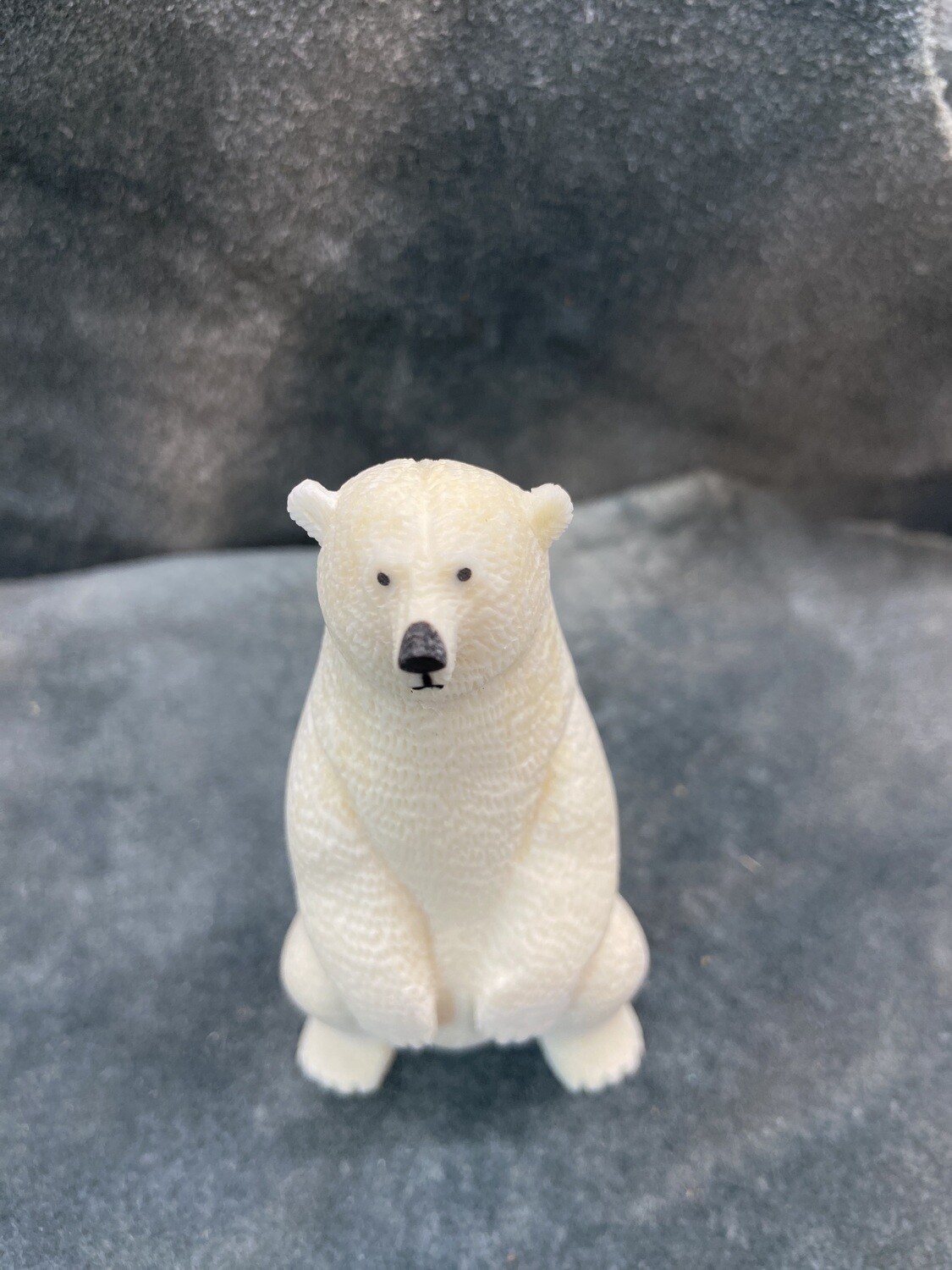 Sitting Polar Bear