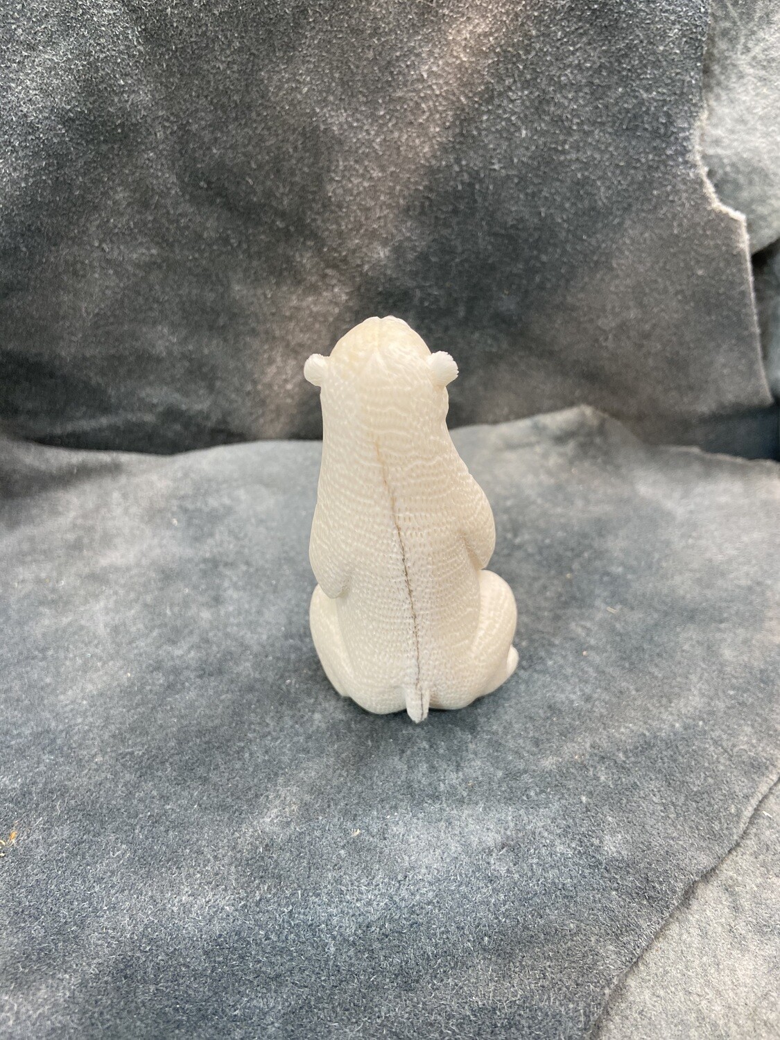 Sitting Polar Bear