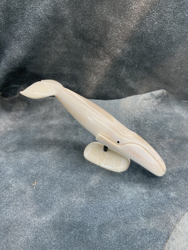 Bowhead Whale