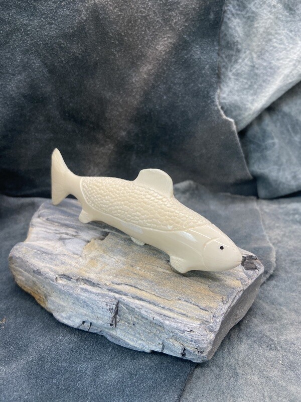 Salmon