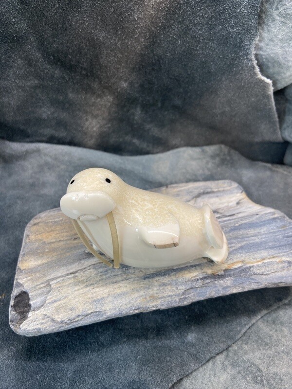 Walrus