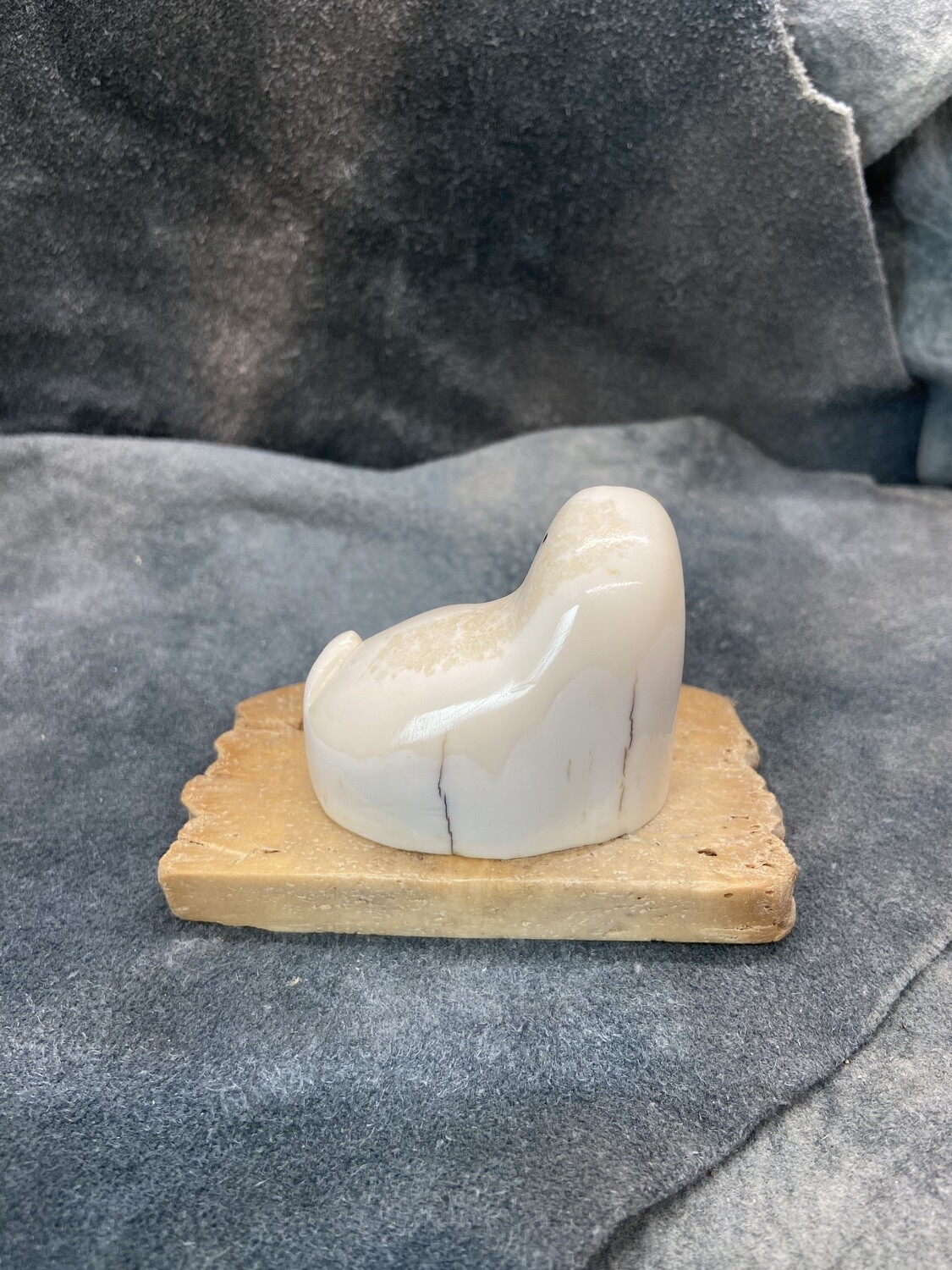Walrus