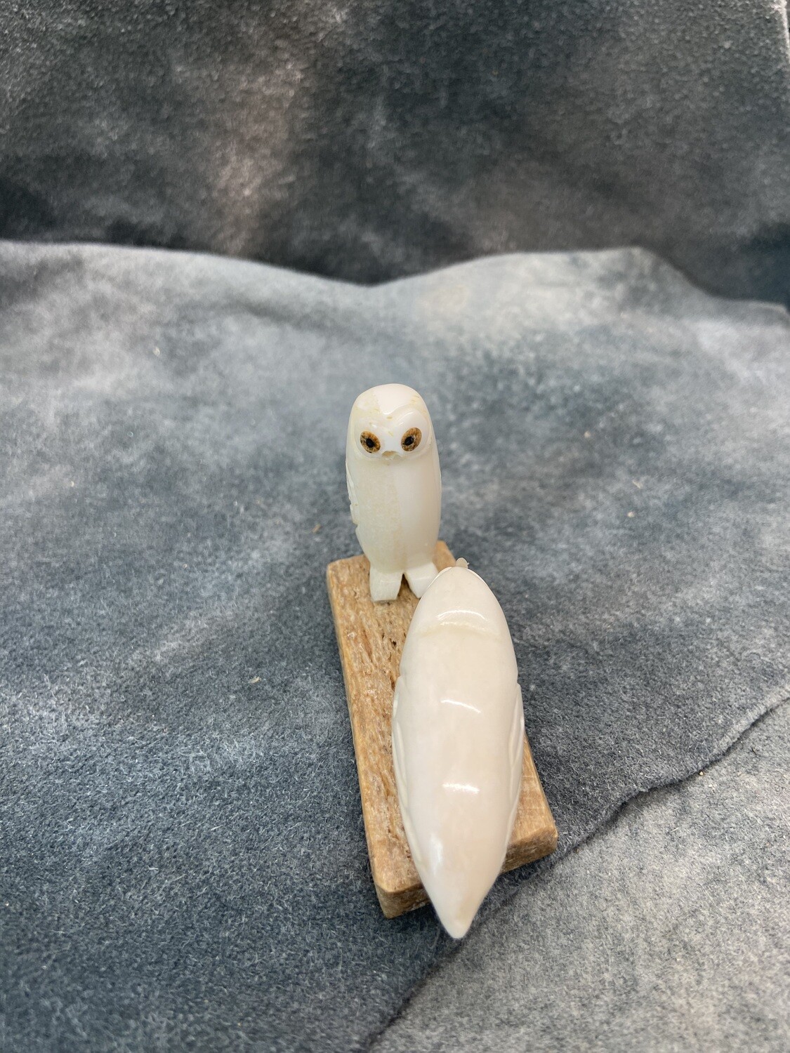 Bird Pair