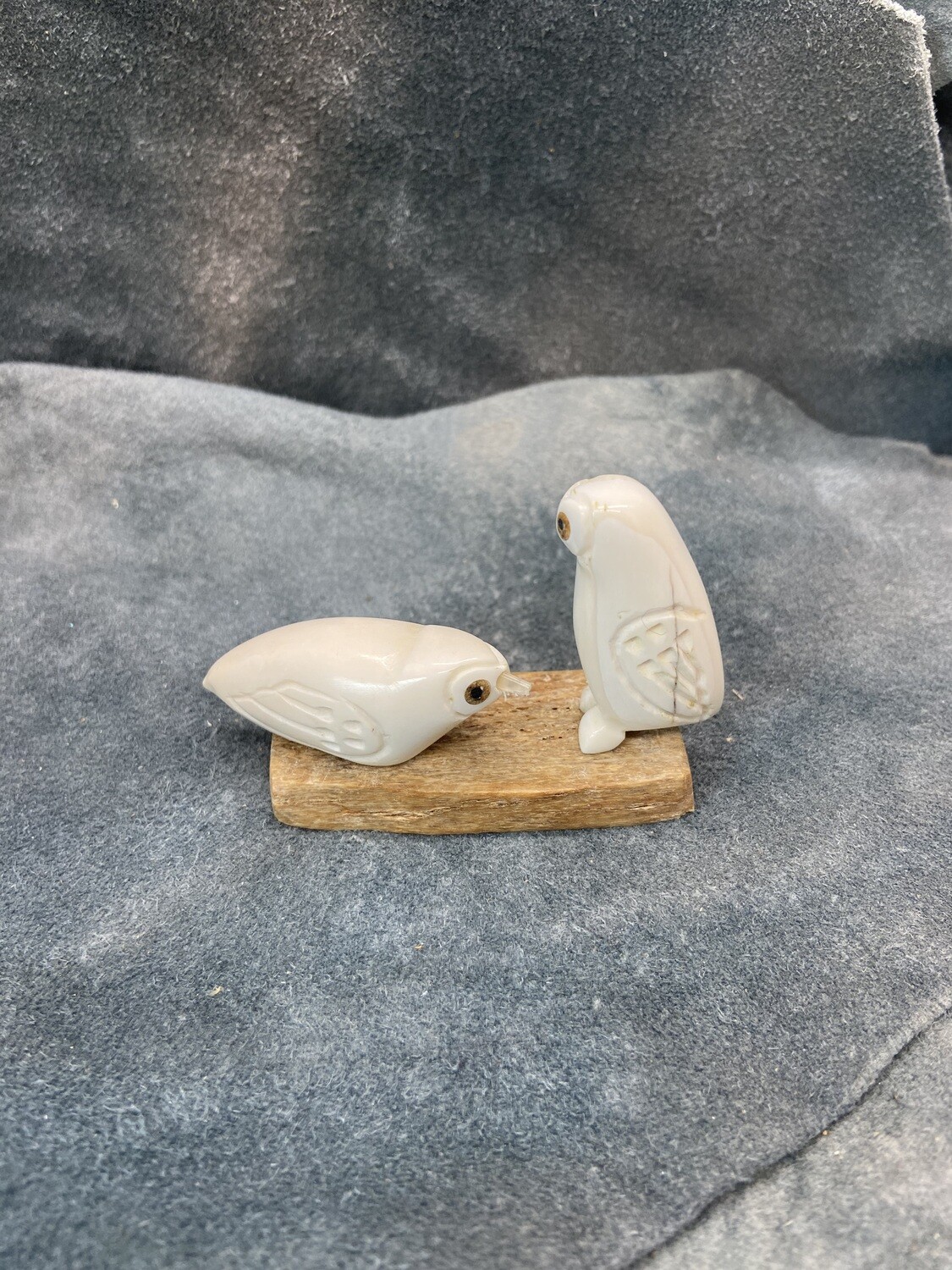 Bird Pair