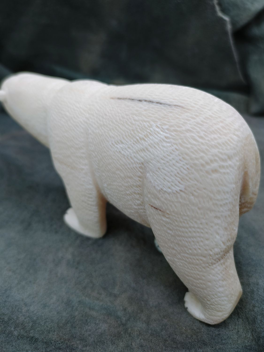 Textured Polar Bear