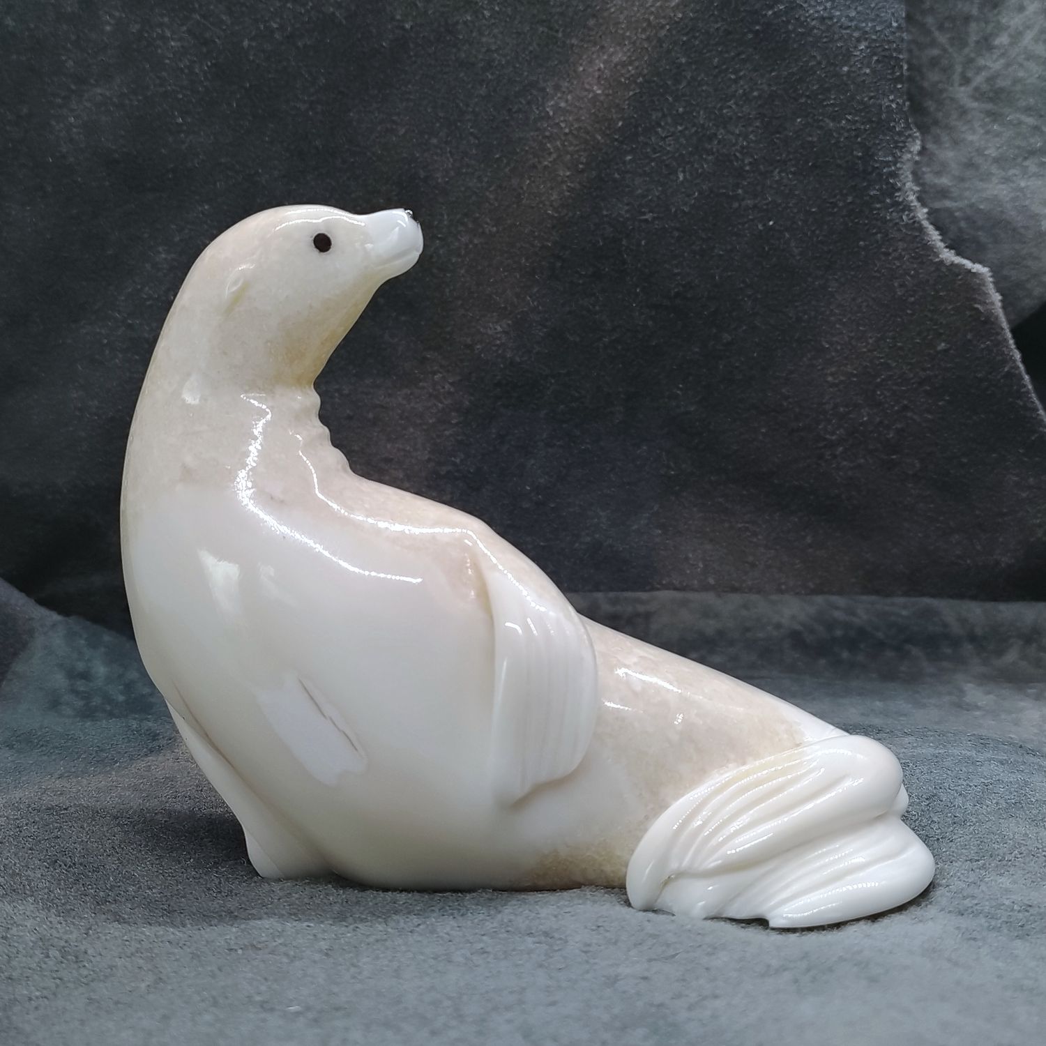 Sea Lion
