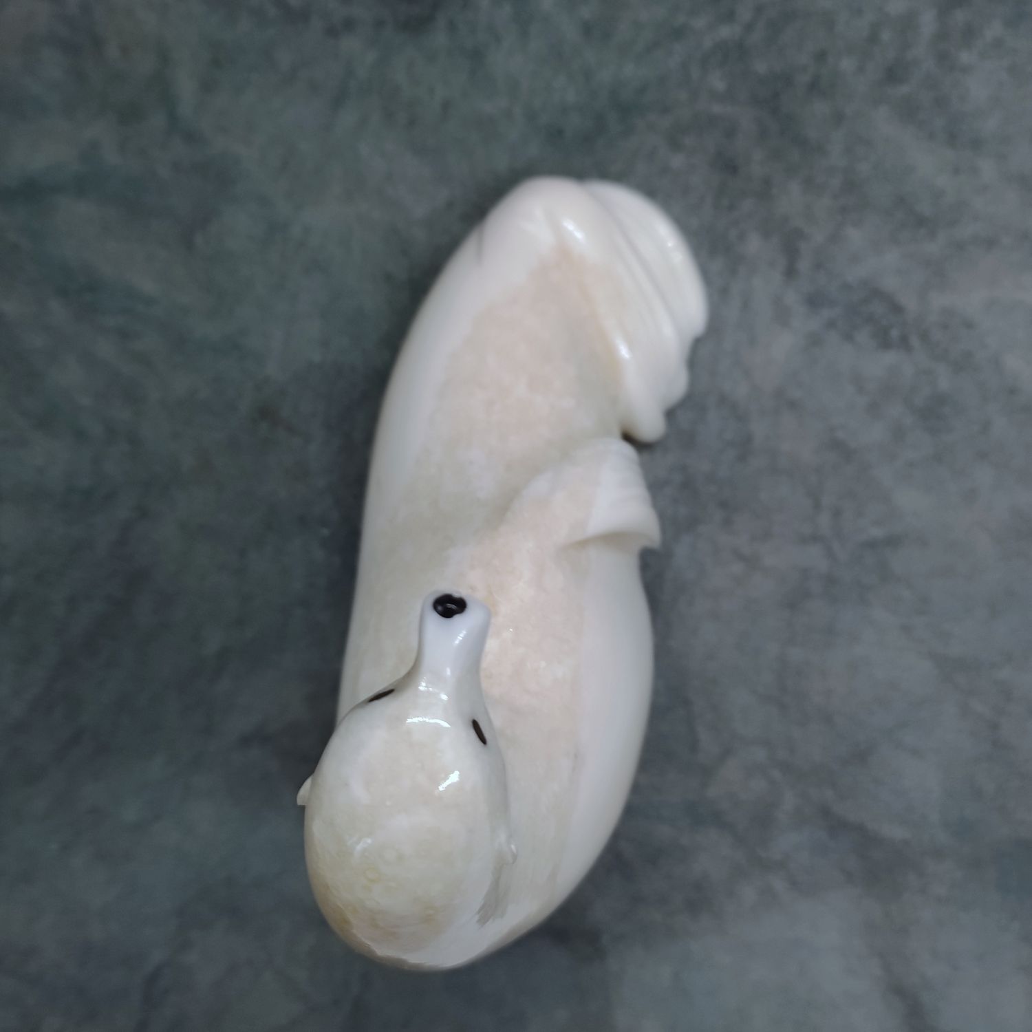 Sea Lion