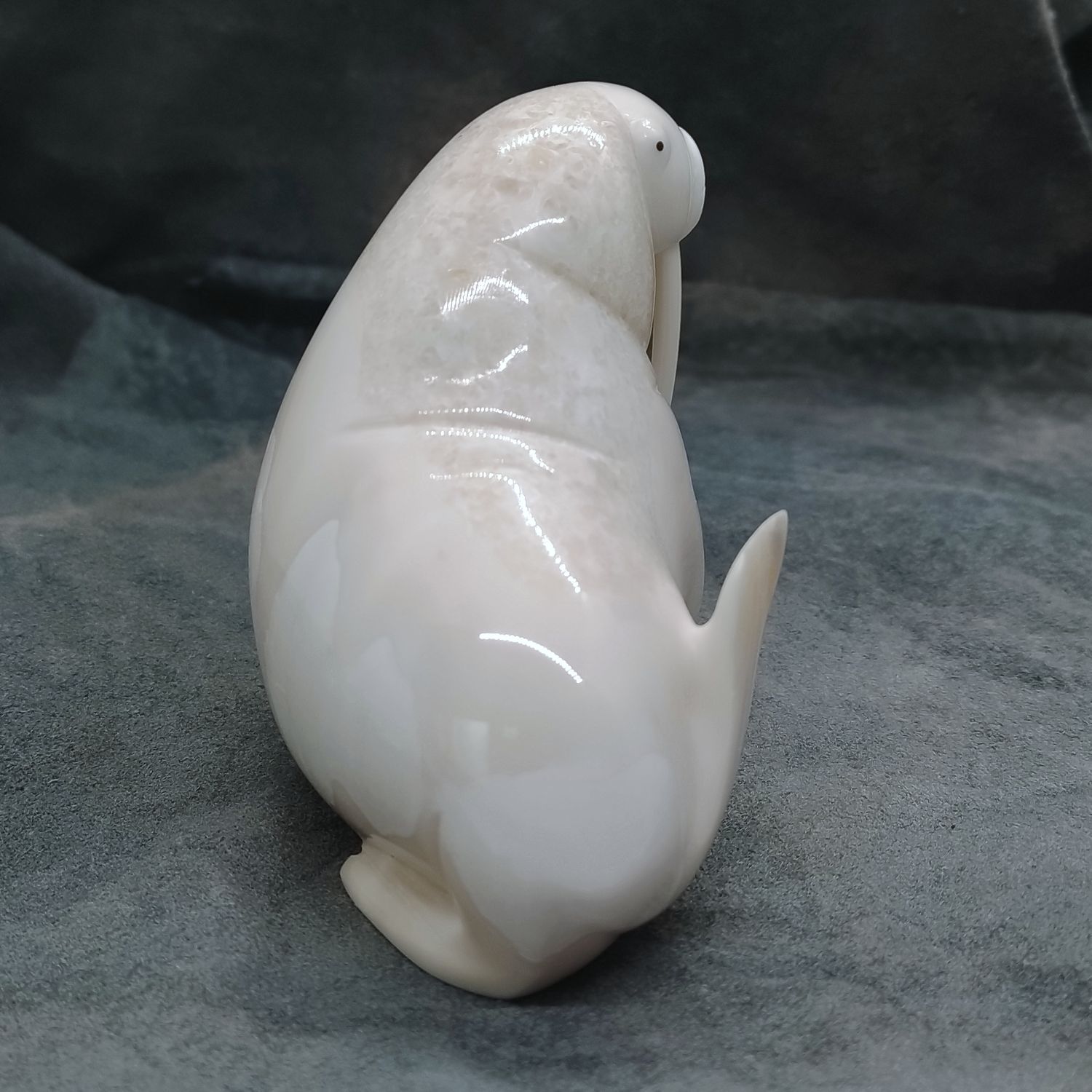 Polished Walrus