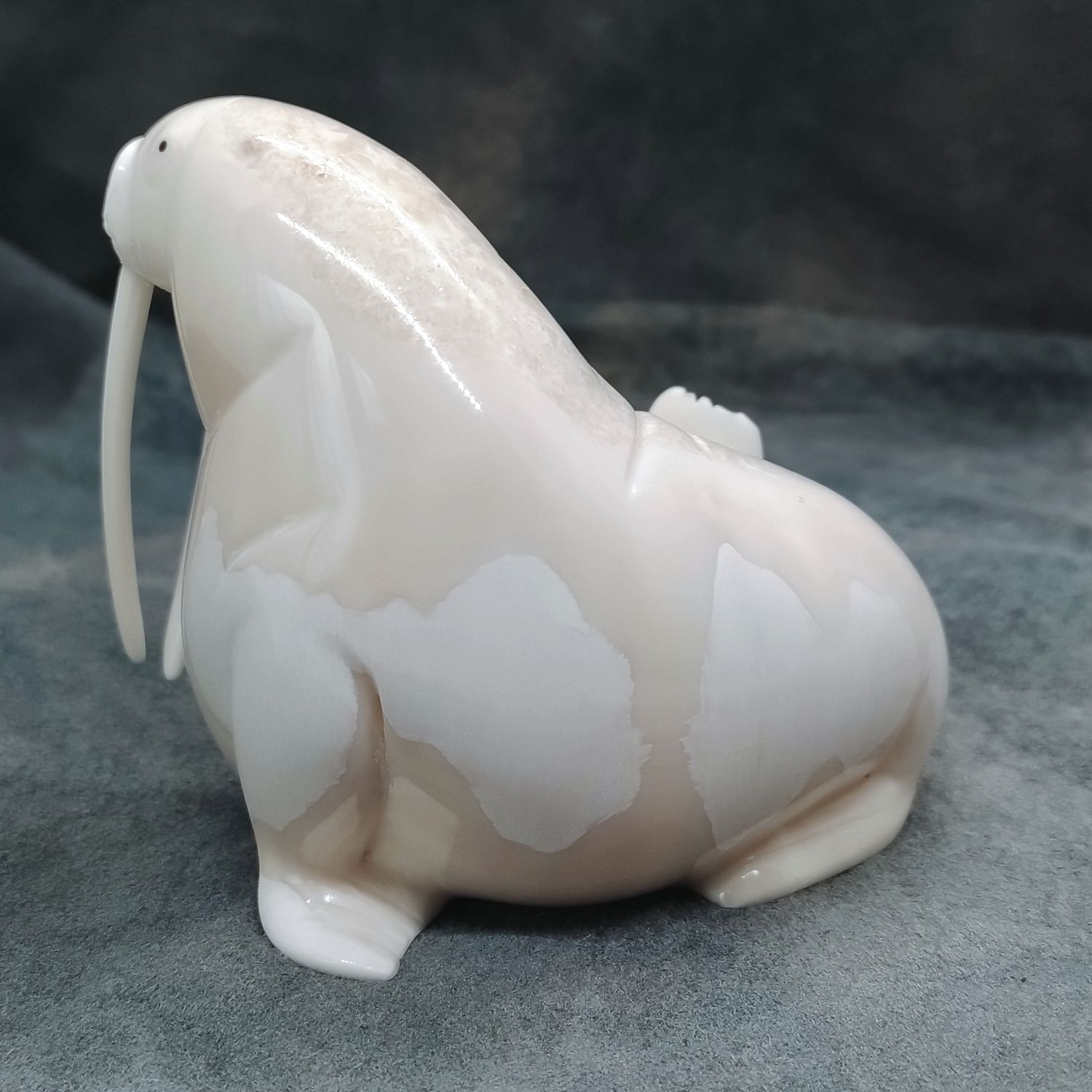 Polished Walrus