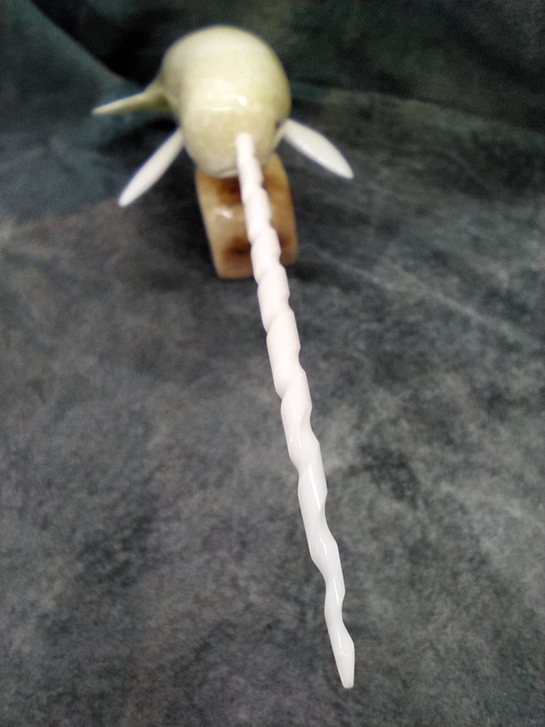 Polished Narwhal