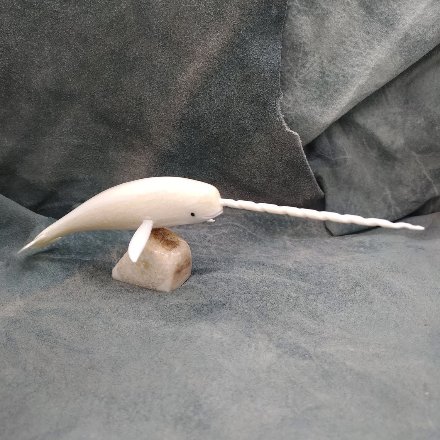 Polished Narwhal