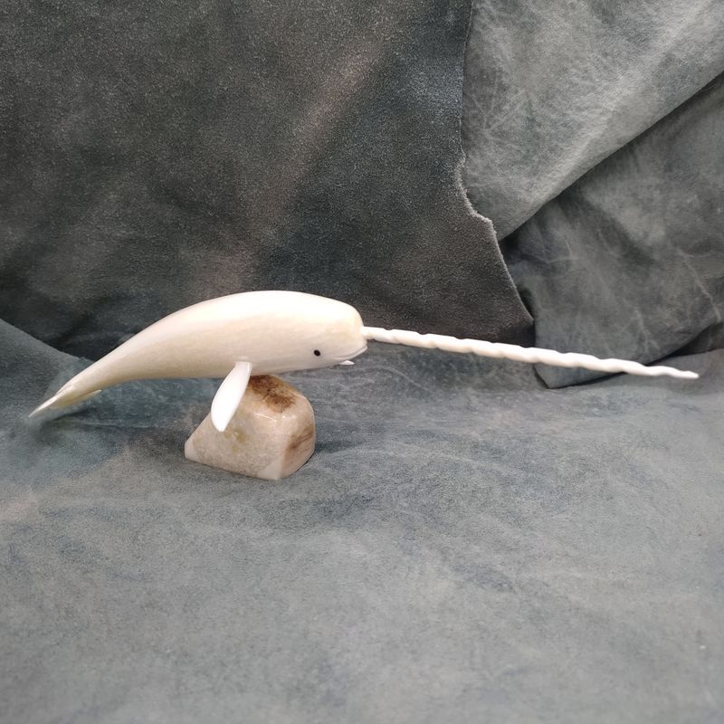 Polished Narwhal