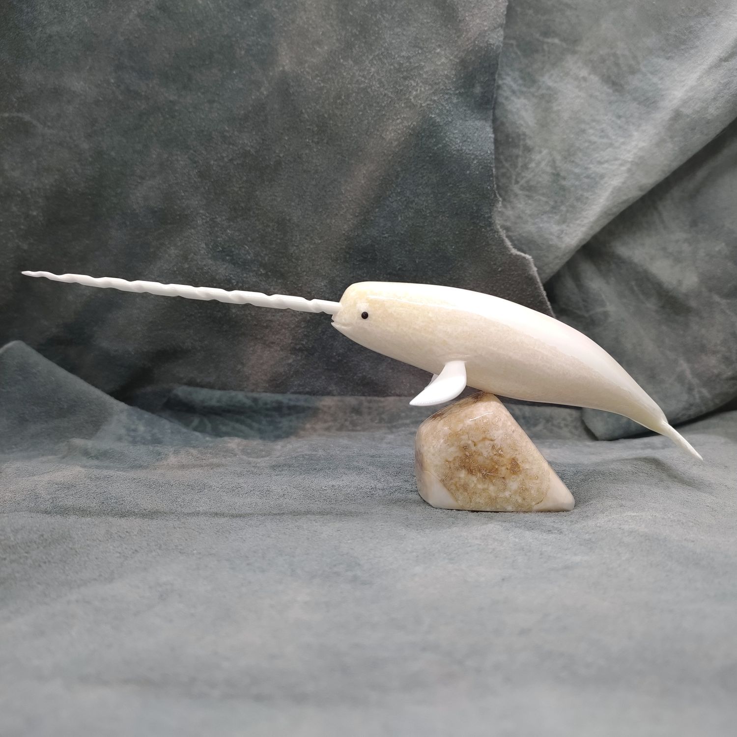Polished Narwhal