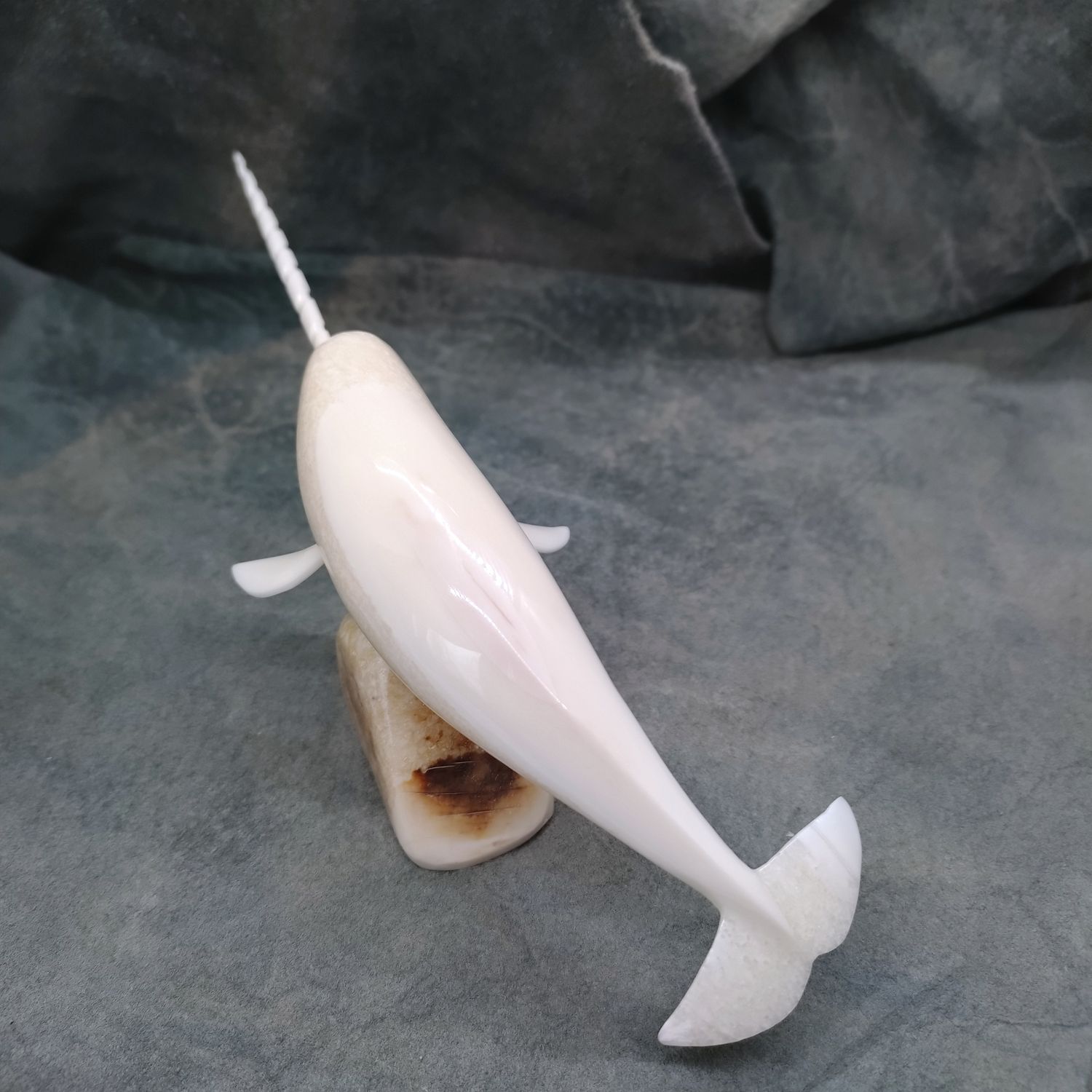 Polished Narwhal