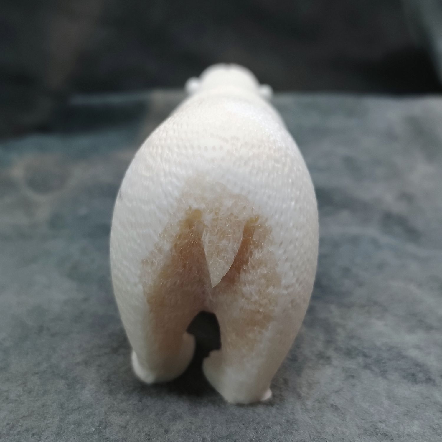 Textured Polar Bear
