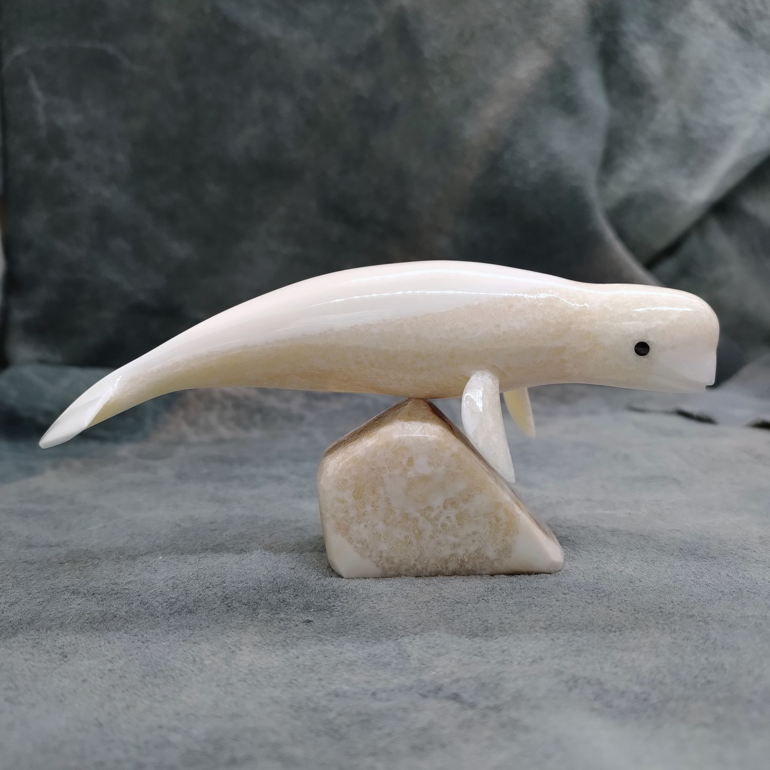 Polished Beluga Whale