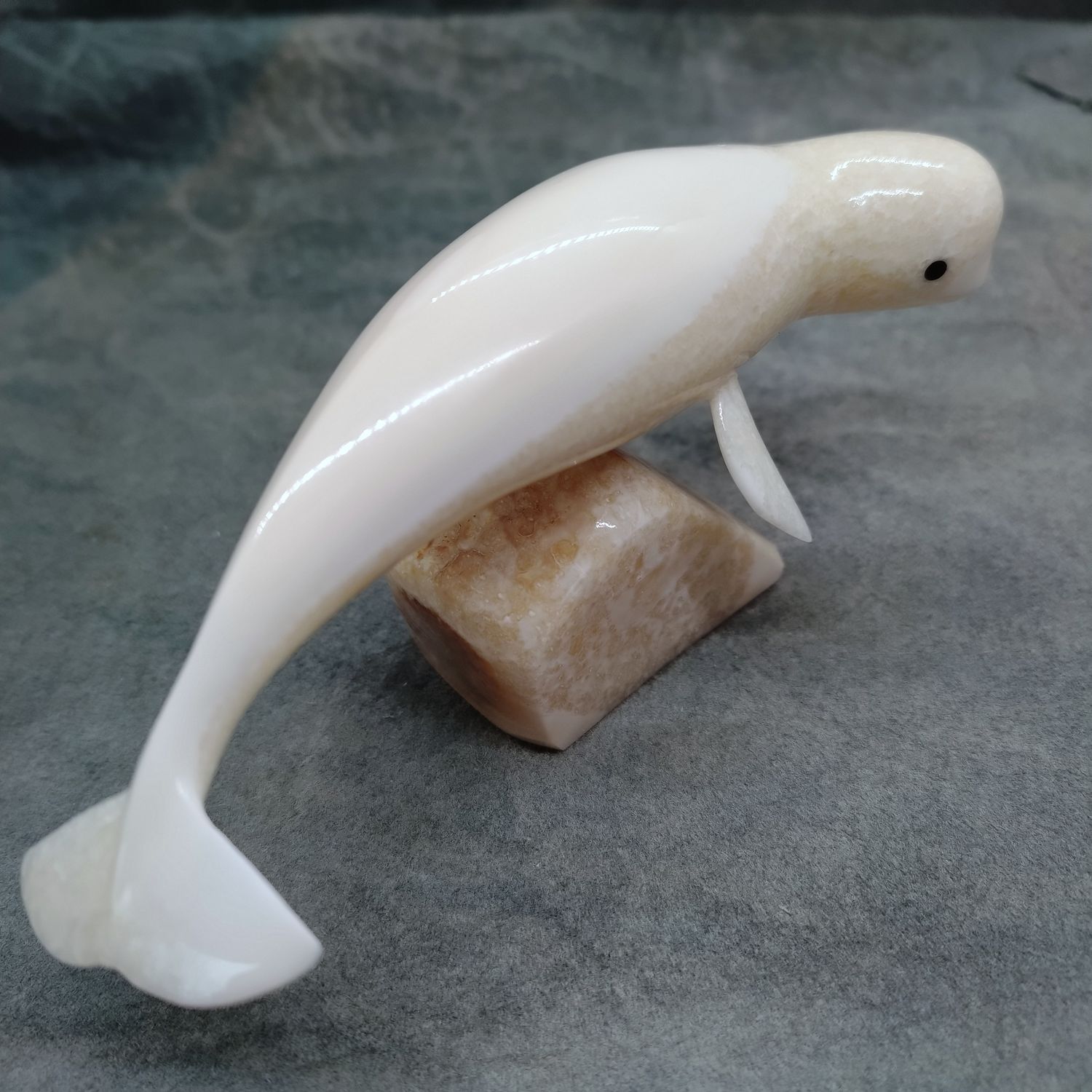 Polished Beluga Whale