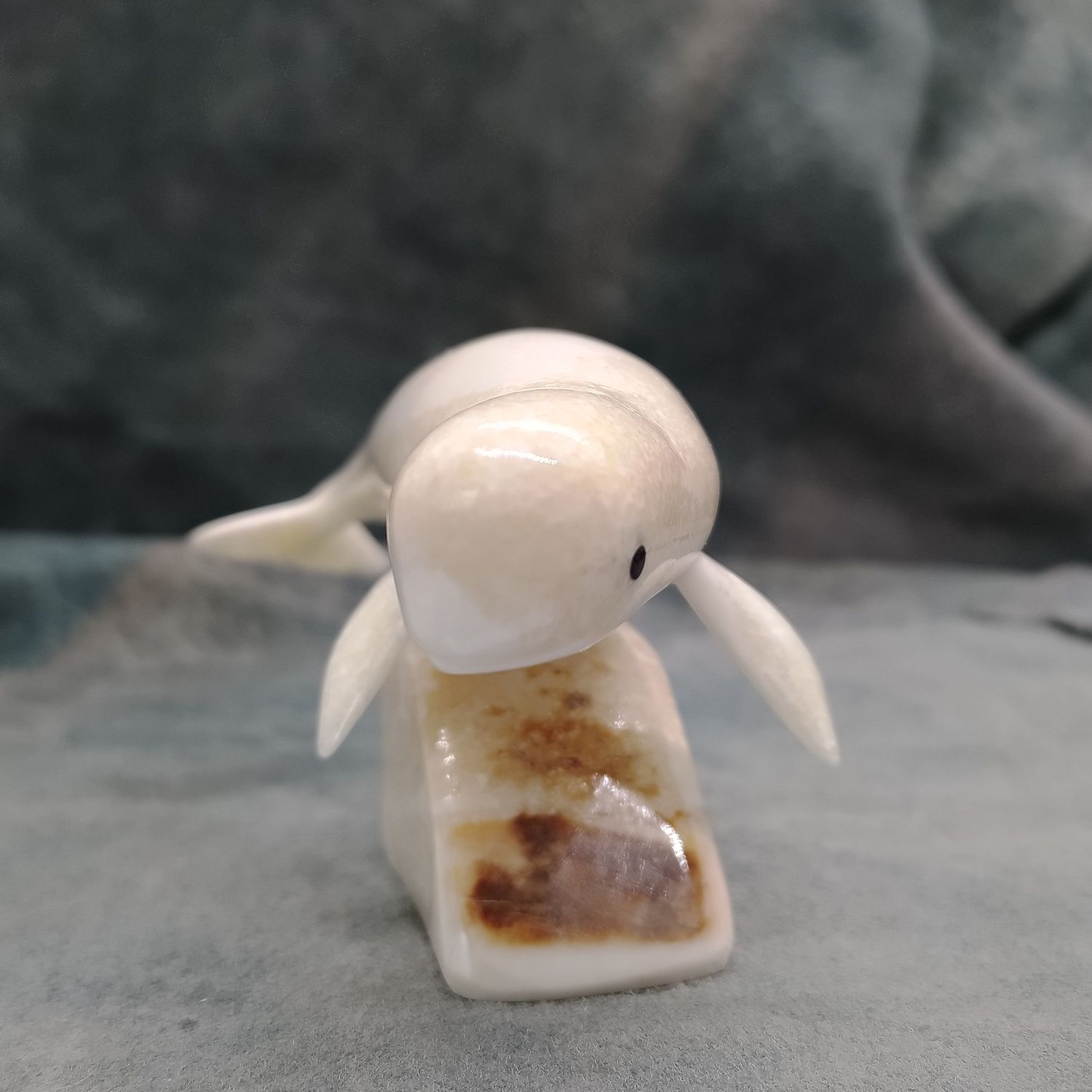 Polished Beluga Whale