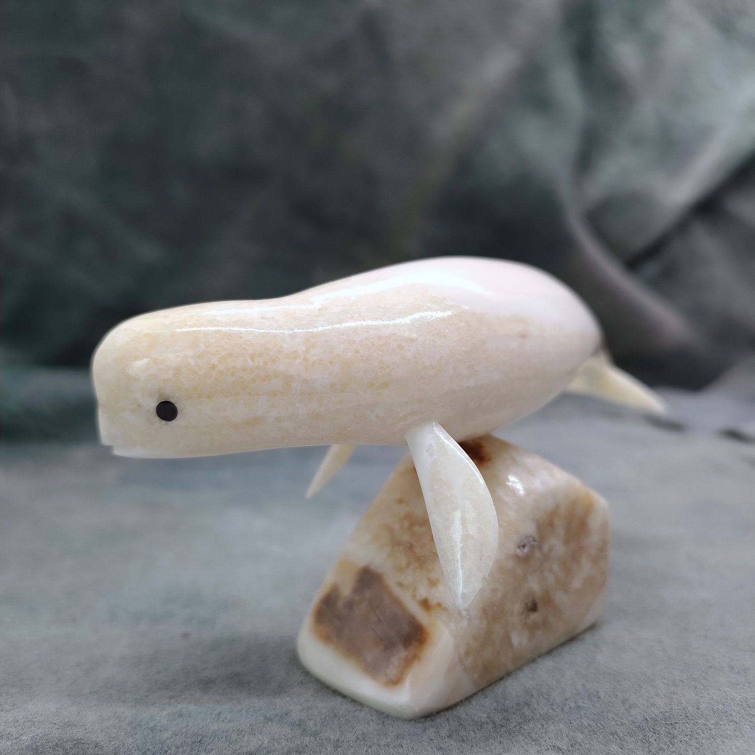 Polished Beluga Whale