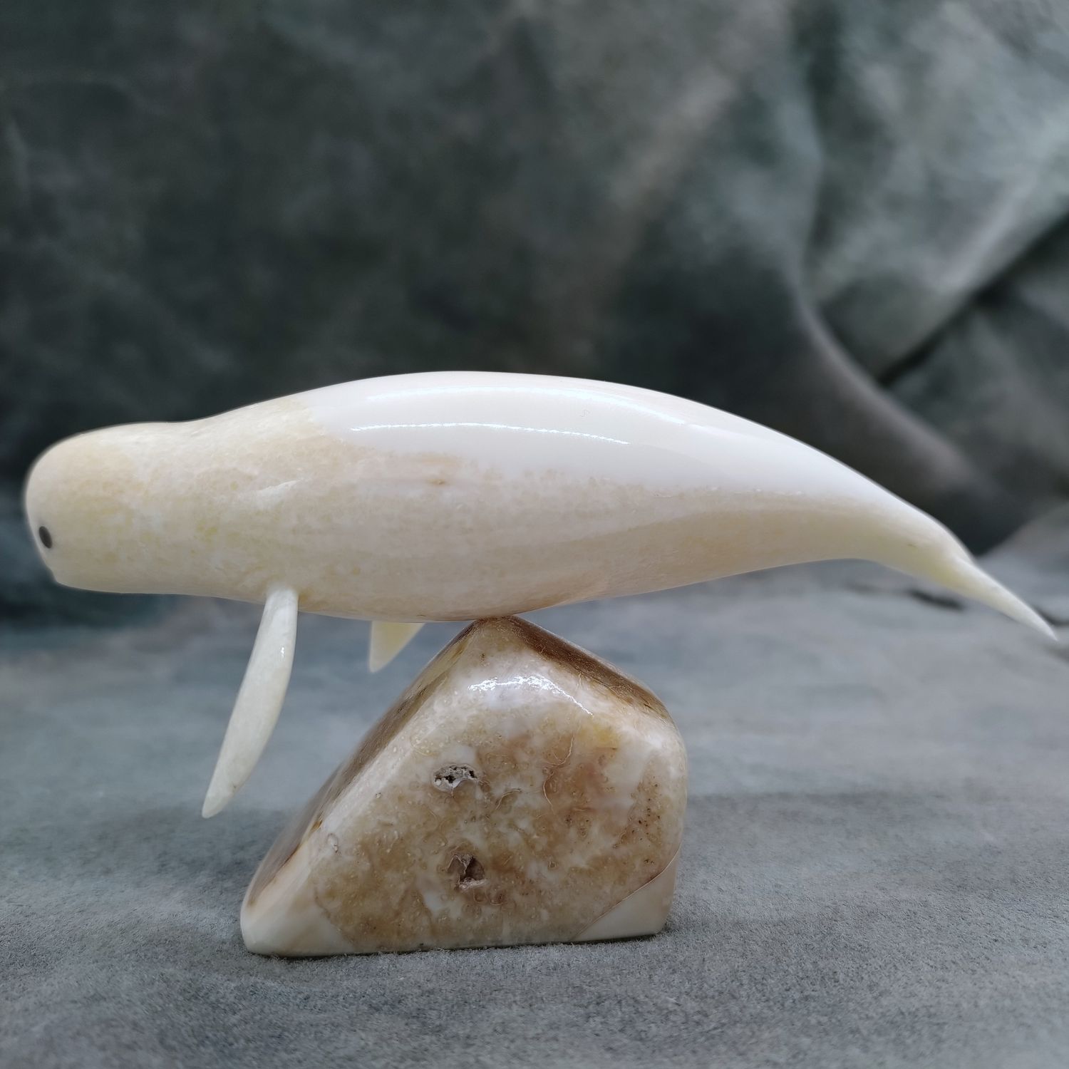 Polished Beluga Whale