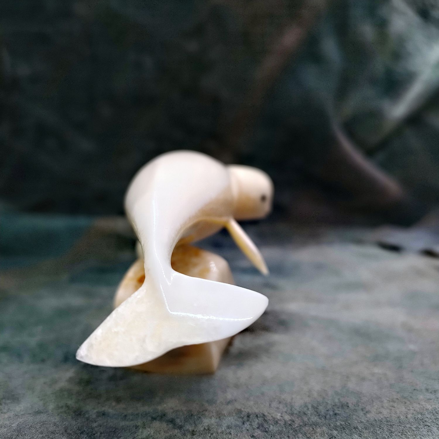 Polished Beluga Whale