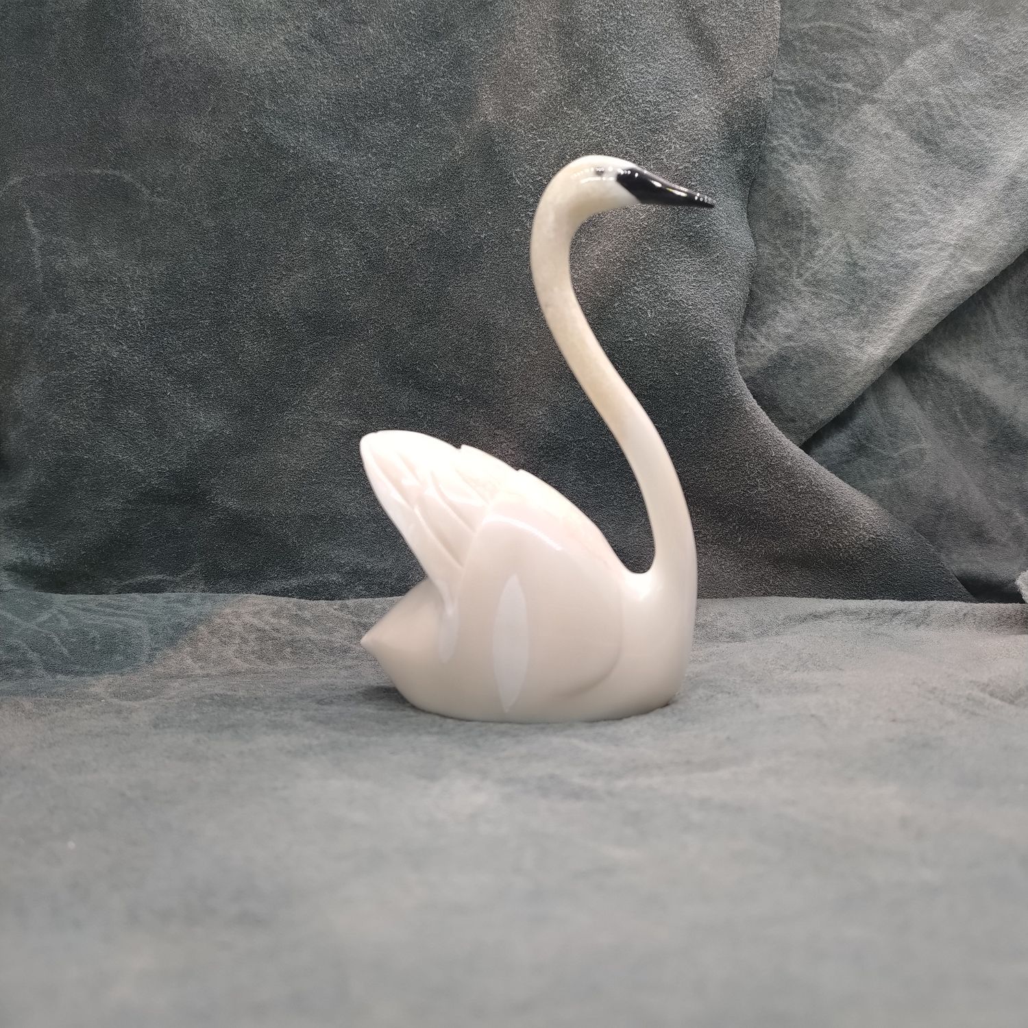 Swan