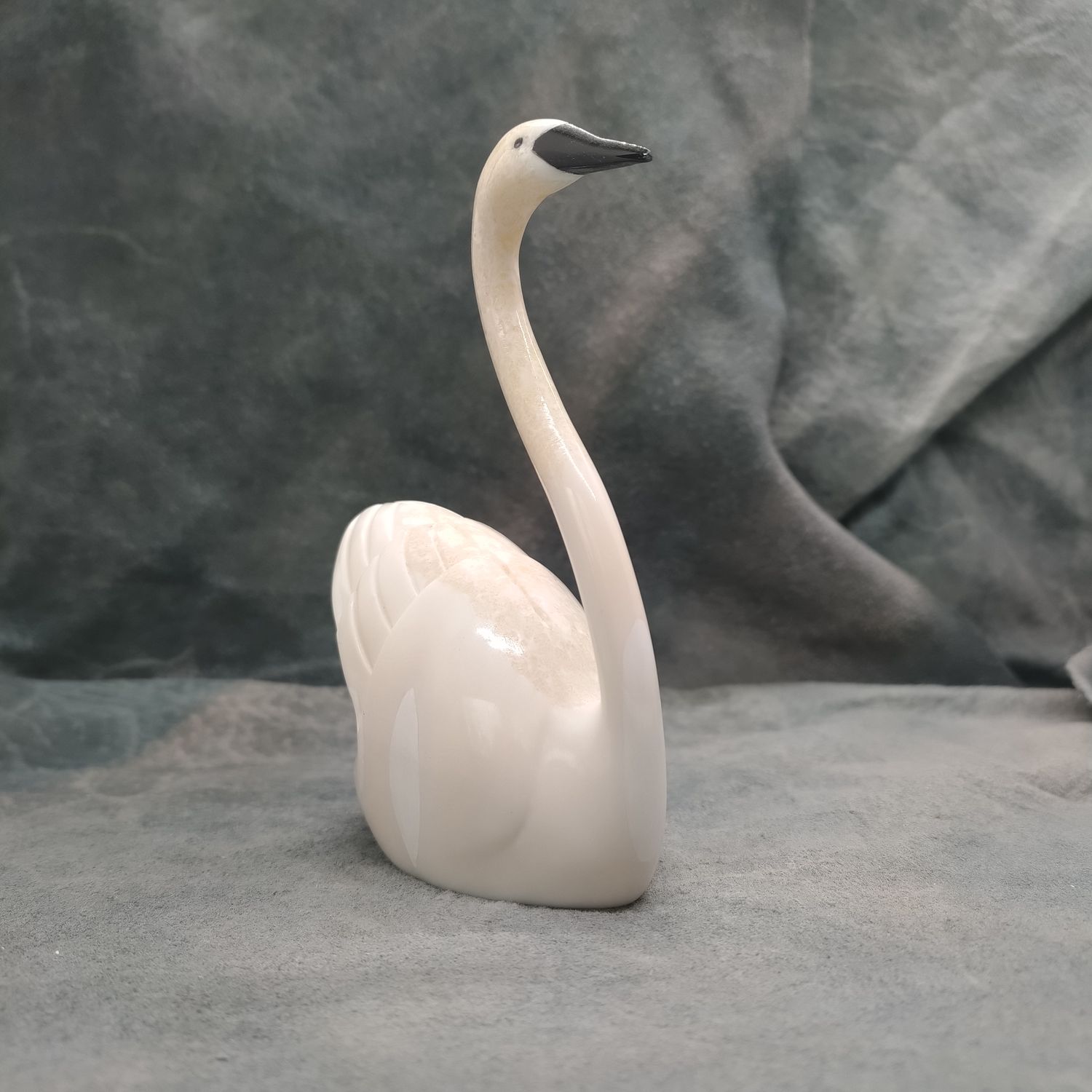 Swan