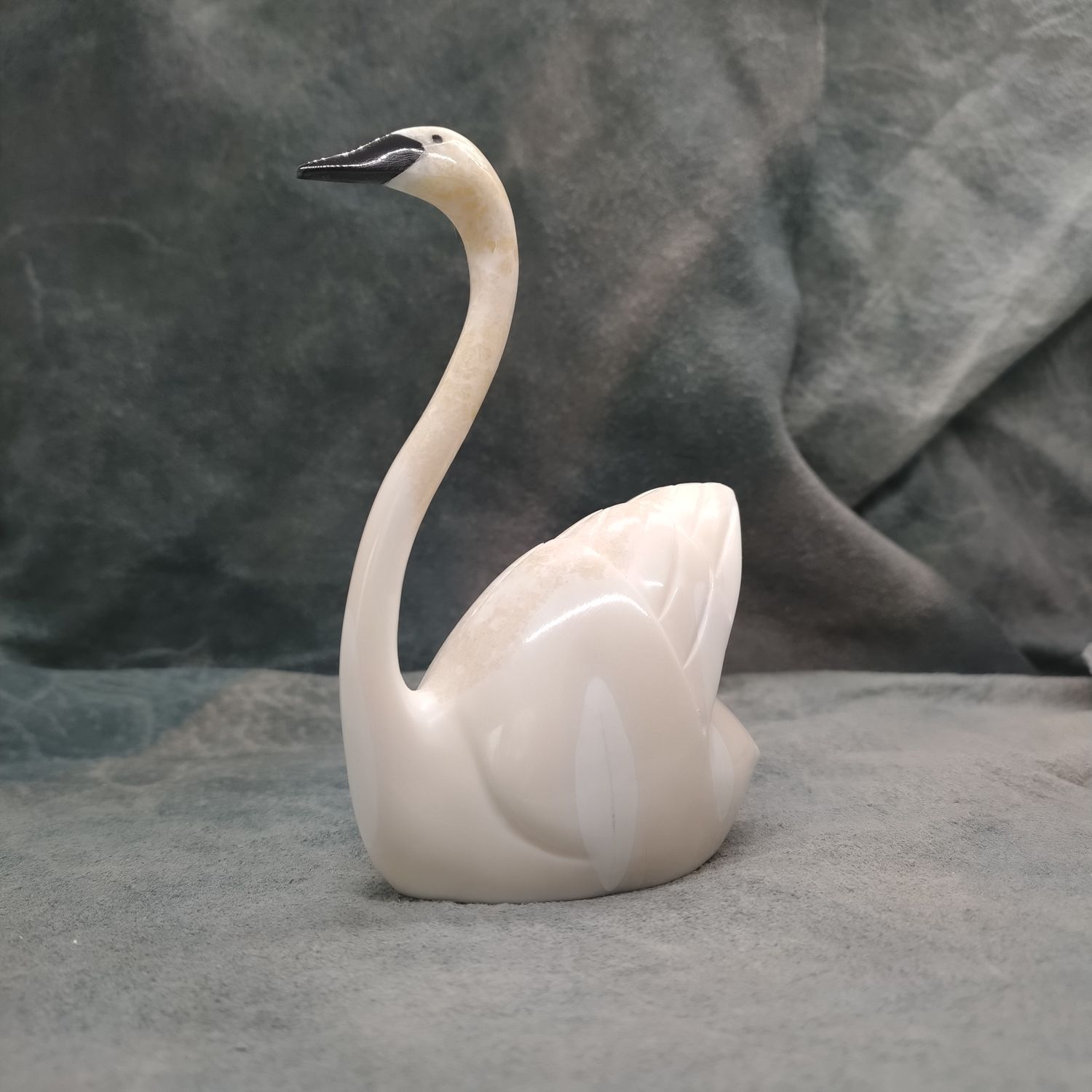 Swan