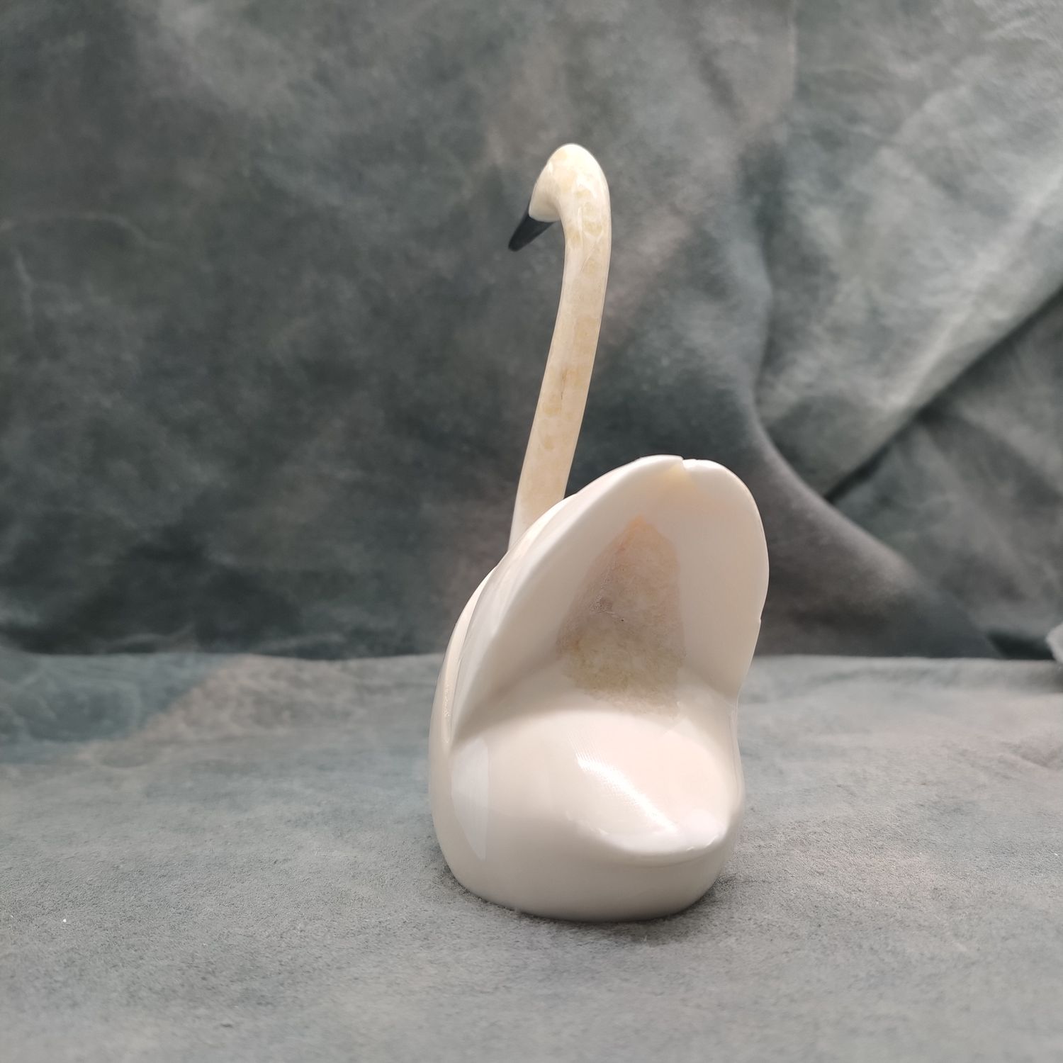 Swan