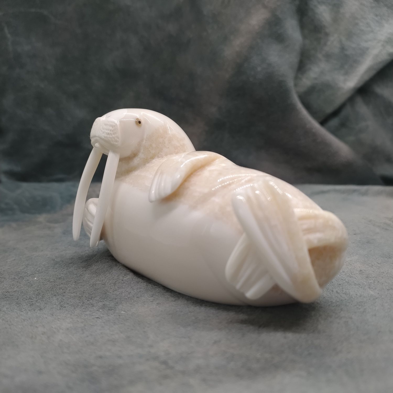 Polished Walrus