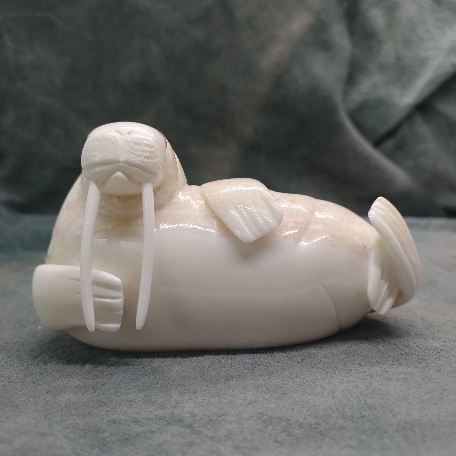 Polished Walrus