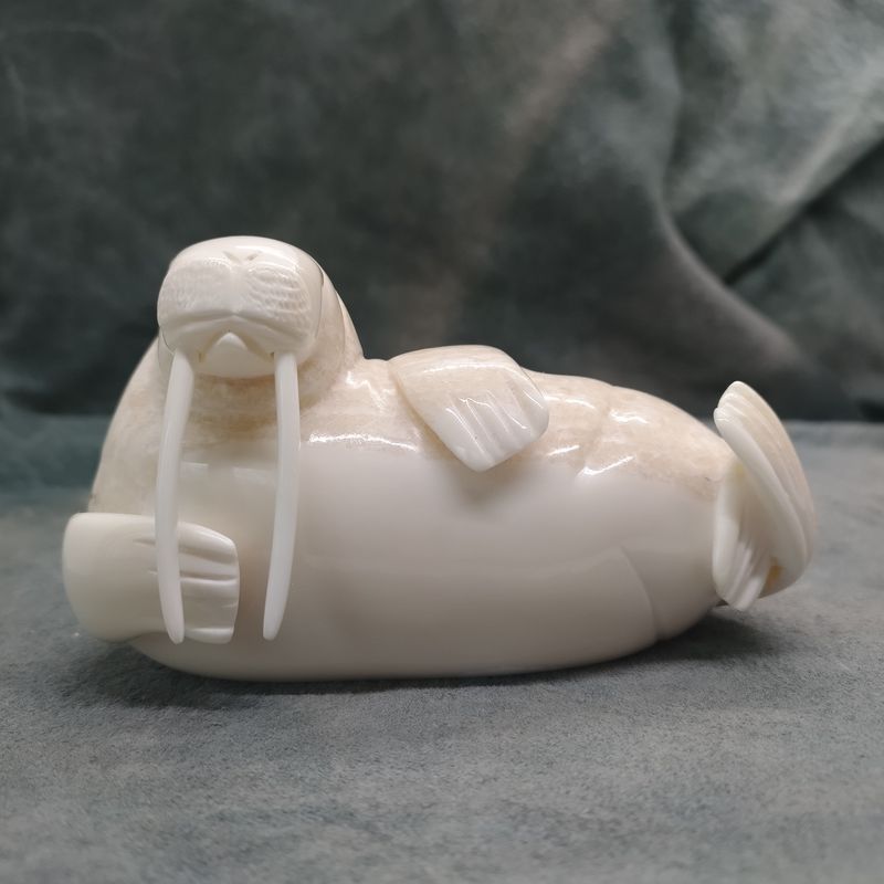 Polished Walrus