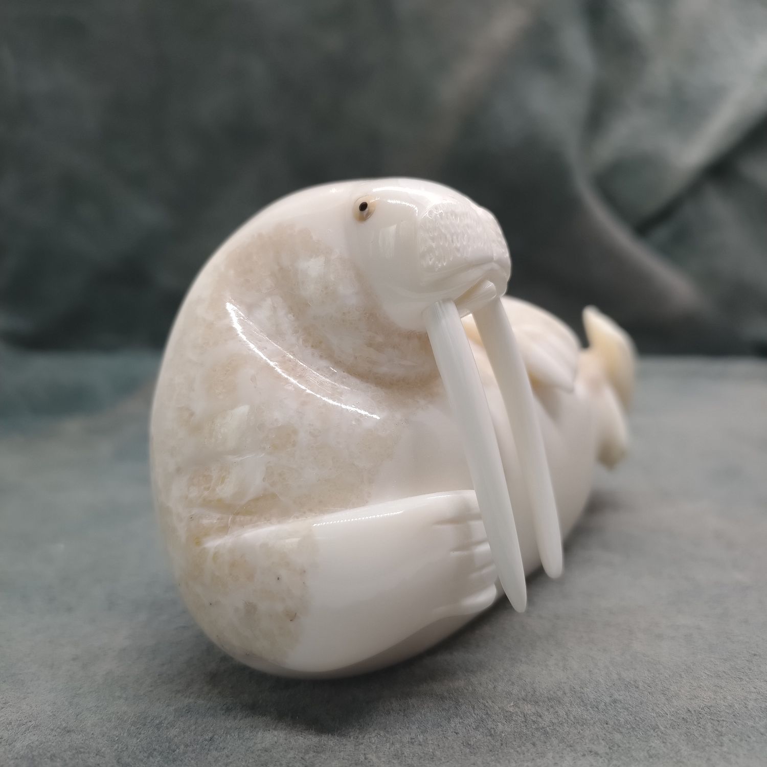 Polished Walrus