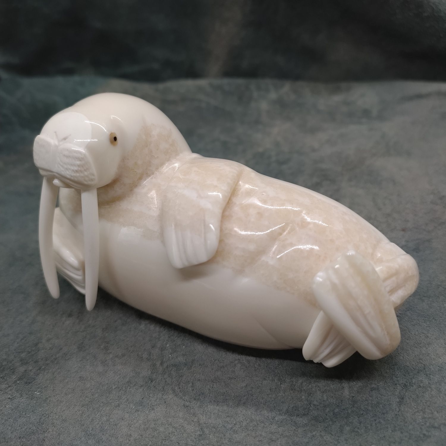 Polished Walrus